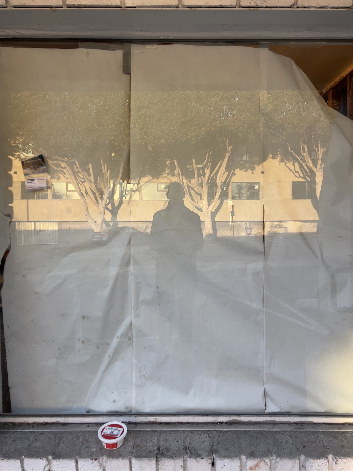 No End In Sight: a silhouetted self-portrait reflected in a paper-lined shop window, trees and a sunlit building behind.