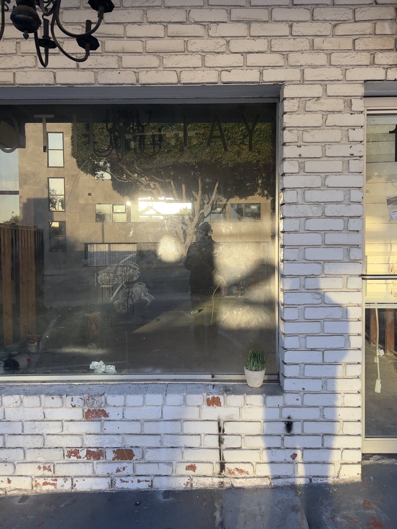 No End In Sight 075: A white-brick shopfront with a window reflecting a tree and a dim figure, with a pot plant on the sill and a chandelier above.