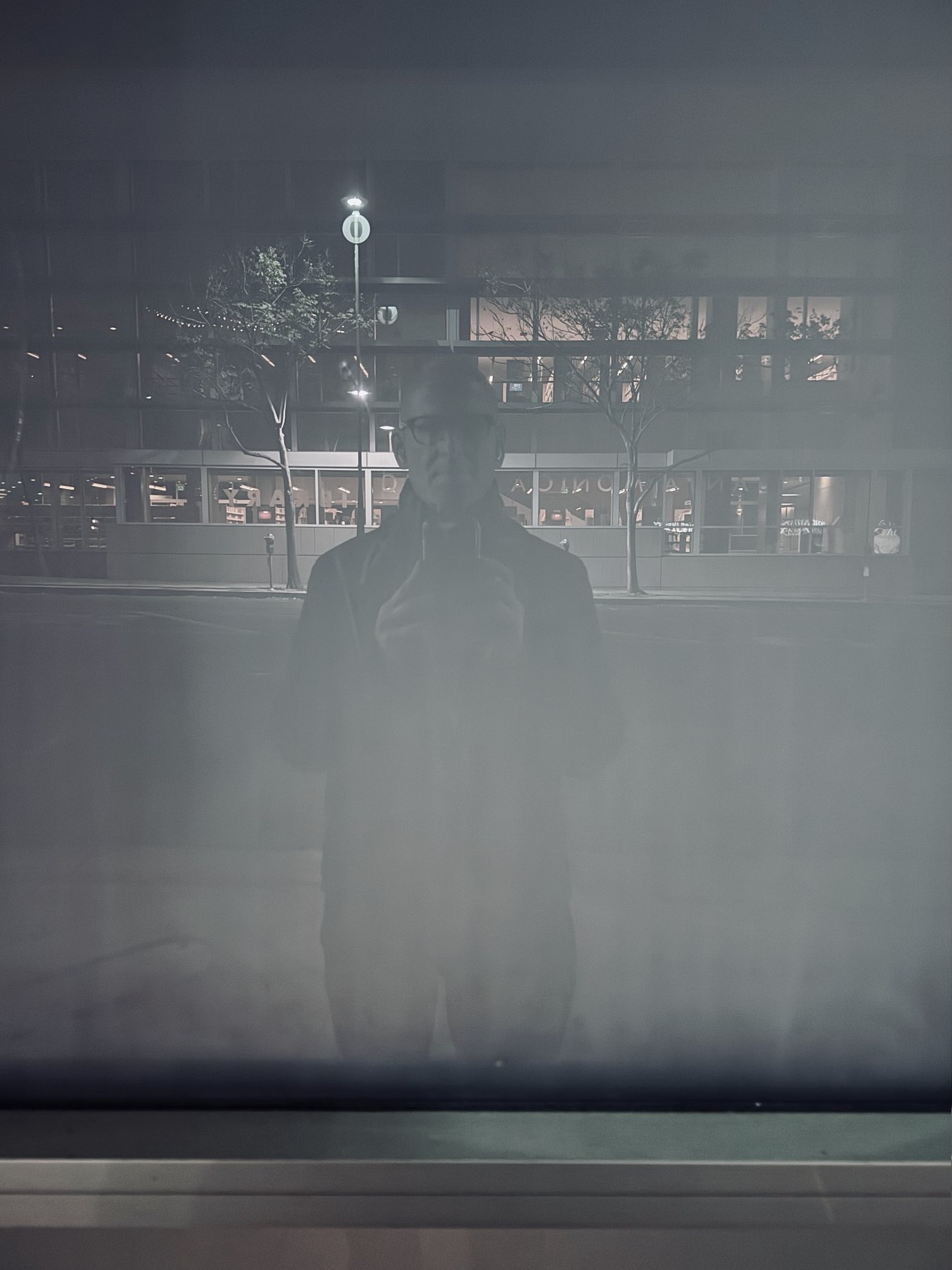No End In Sight 097: The artist's ghostly reflection in fogged glass at night, with a lit office building and street trees behind.