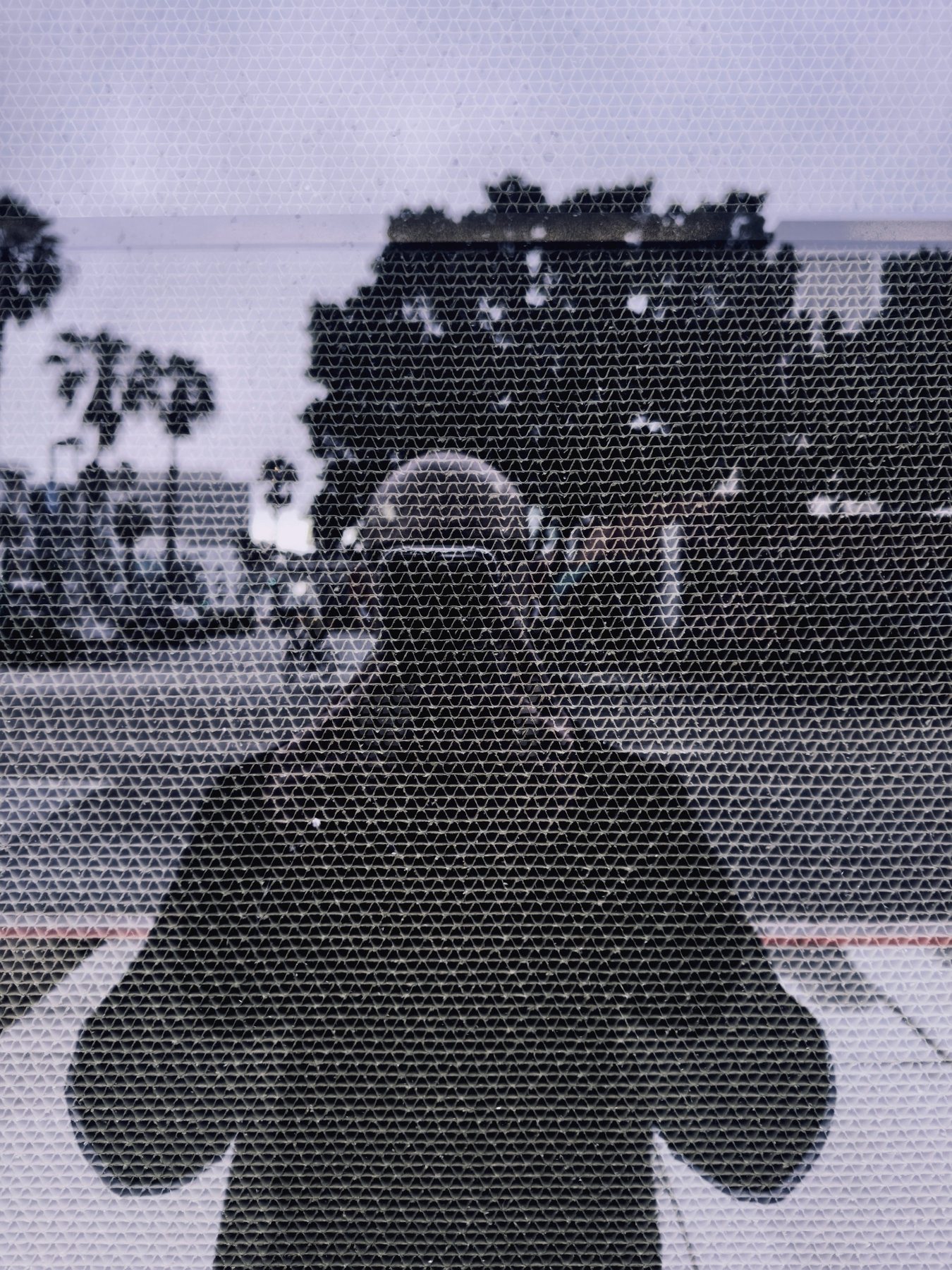 No End In Sight 120: The artist's silhouette against palms and trees, seen through a fine mesh covering the glass.