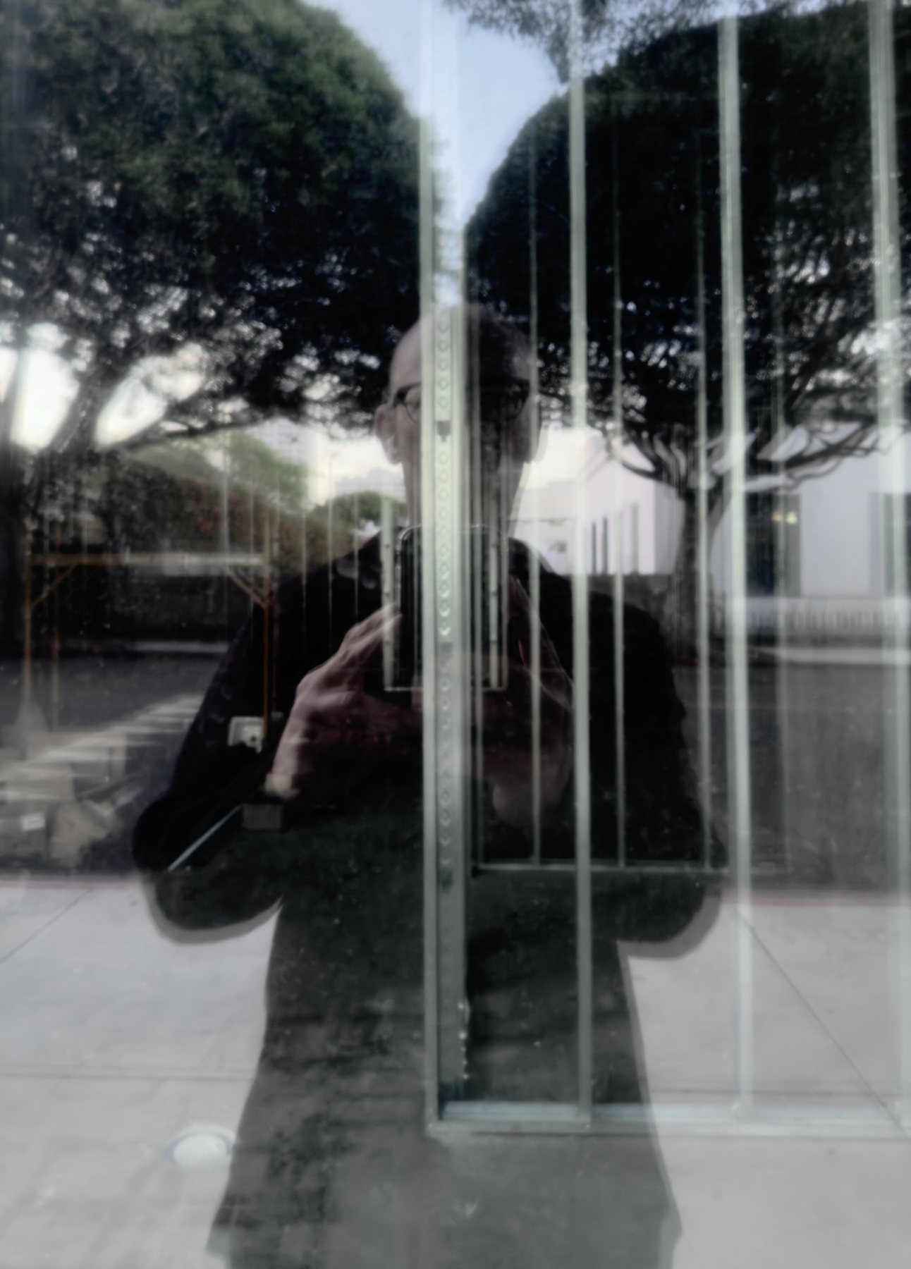 No End In Sight 148: The artist's reflection overlaid with vertical metal frame bars and rounded trees, in soft, desaturated tones.
