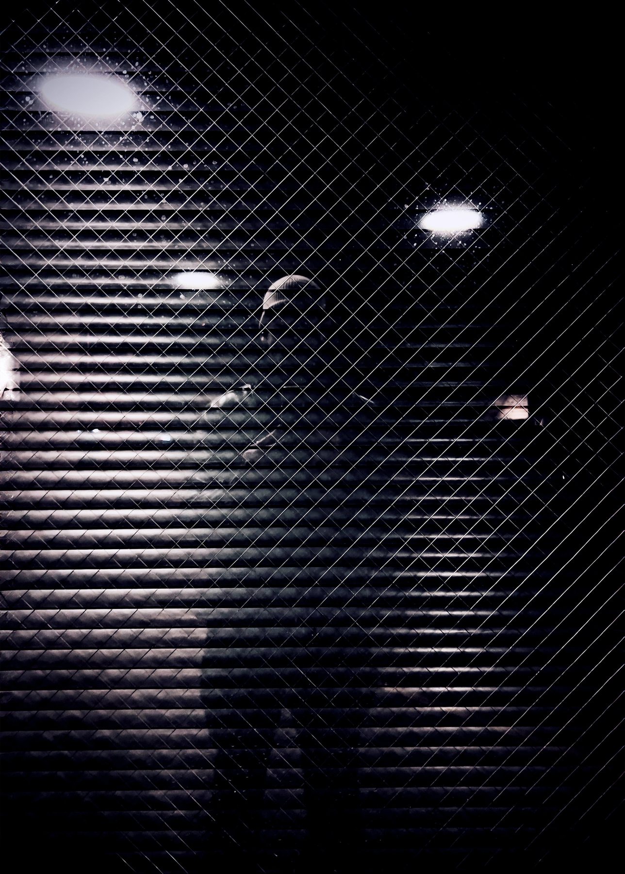 No End In Sight 069: The artist's head and shoulders emerging from a dark diagonal metal mesh and roller shutter lit by pale ceiling lights.