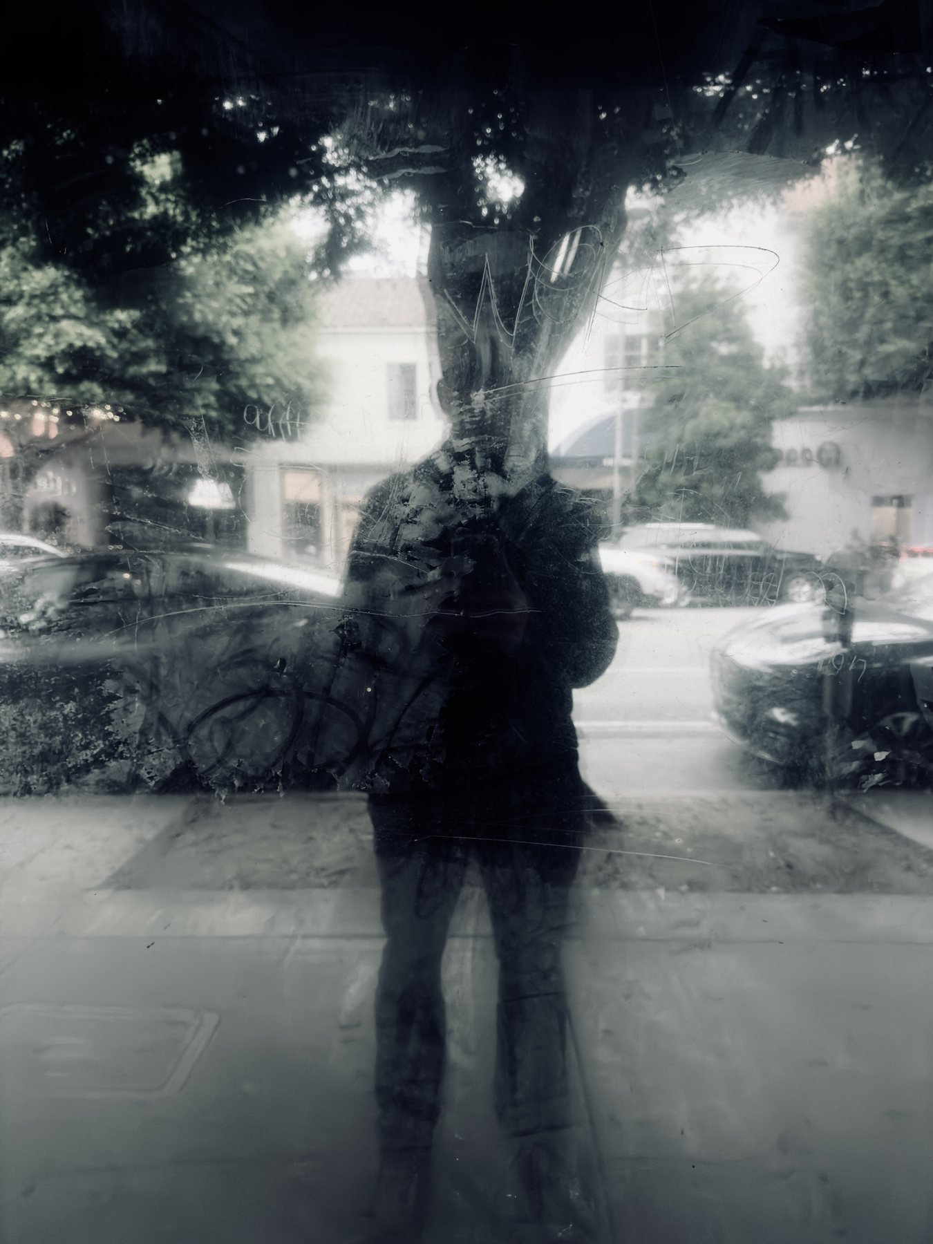 No End In Sight 146: The artist's reflection in a scratched, misty window under tree branches, with parked cars and white buildings behind.
