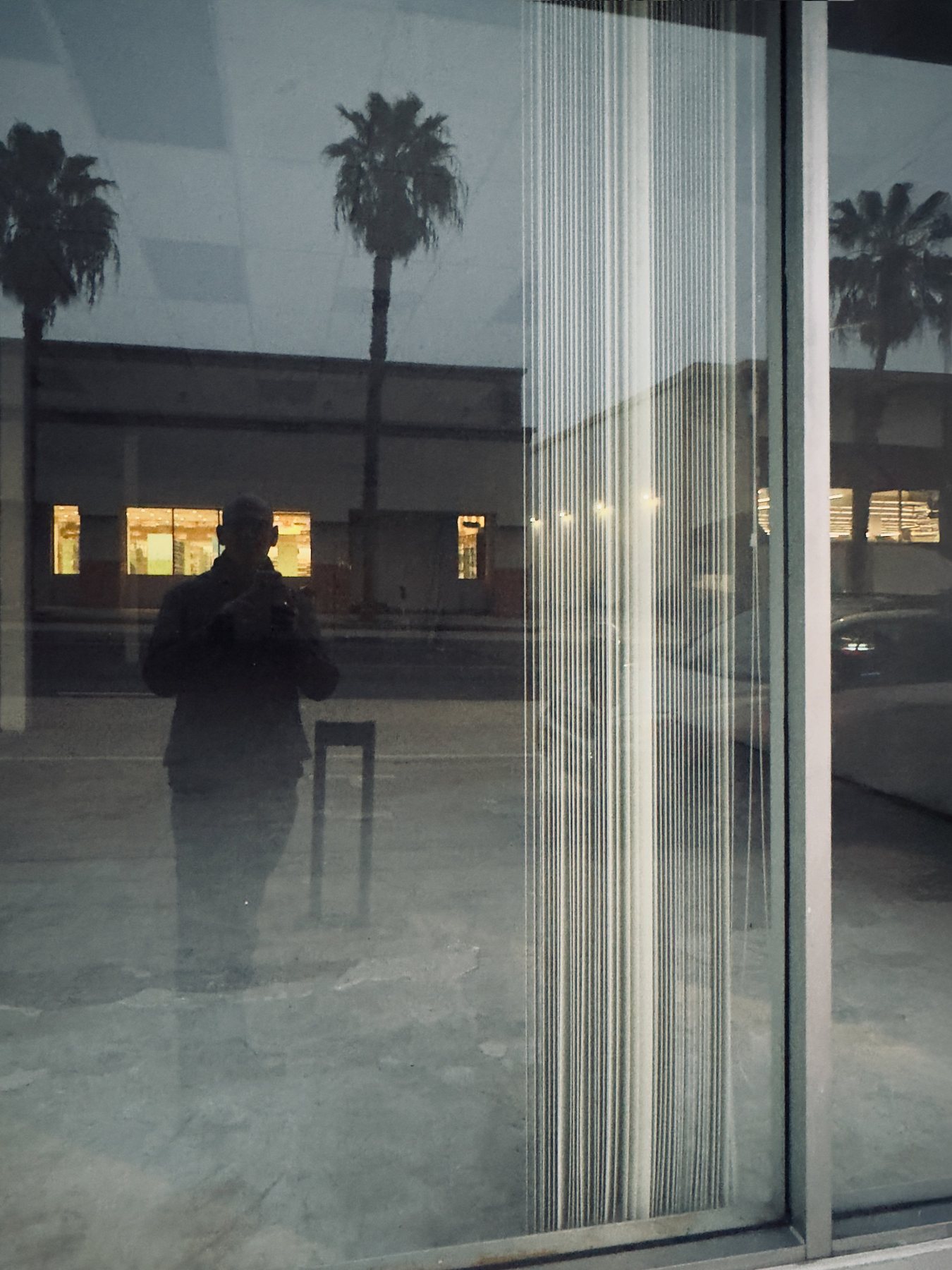 No End In Sight 152: The artist's reflection in a dusk window hung with fine vertical strings, with palm trees and lit windows across the street.