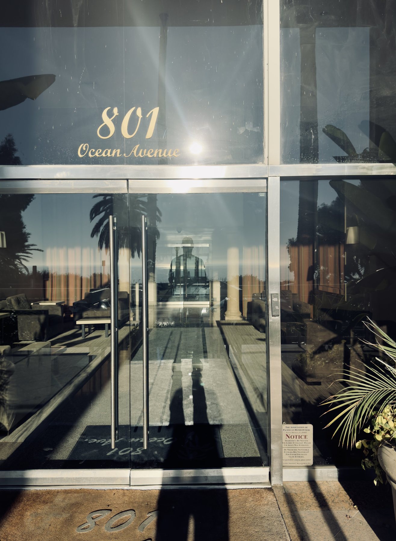 No End In Sight 090: The artist's shadow in a glass door marked 801 Ocean Avenue, with palm trees reflected and a lobby visible inside the doors.