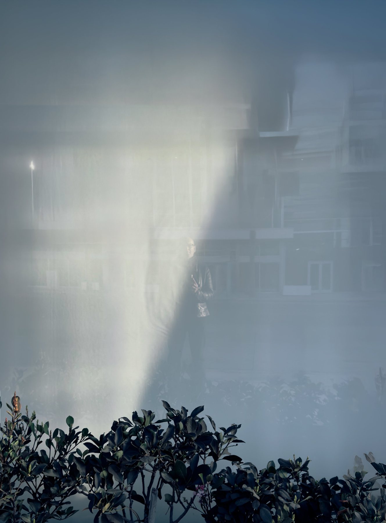 No End In Sight 108: The artist's faint silhouette in fog, caught in a pale beam of light, with dark leaves in the foreground and a blurred building behind.