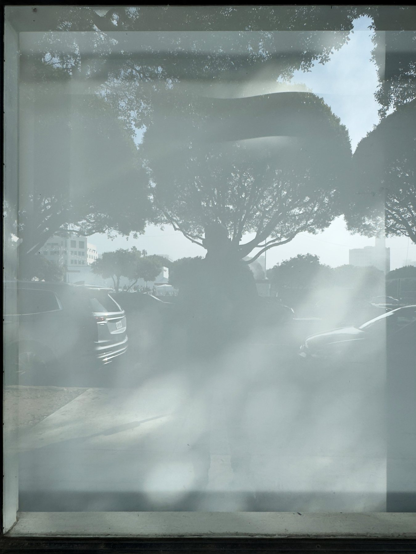 No End In Sight 107: Silver: a pale, hazy shop-window reflection of a tree-lined street with parked cars, in No End In Sight.