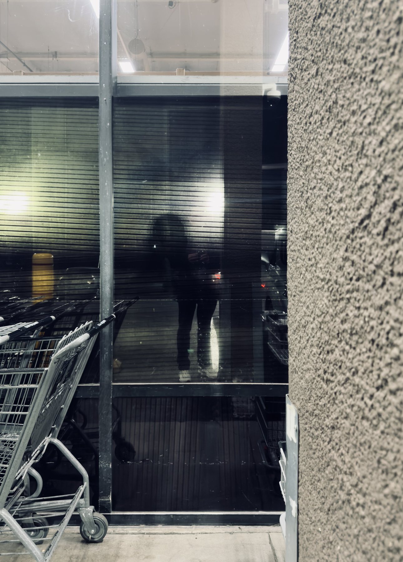 No End In Sight 088: The artist's dark reflection in a shopfront window with a shutter, stacked shopping carts at left and rough stucco wall at right.