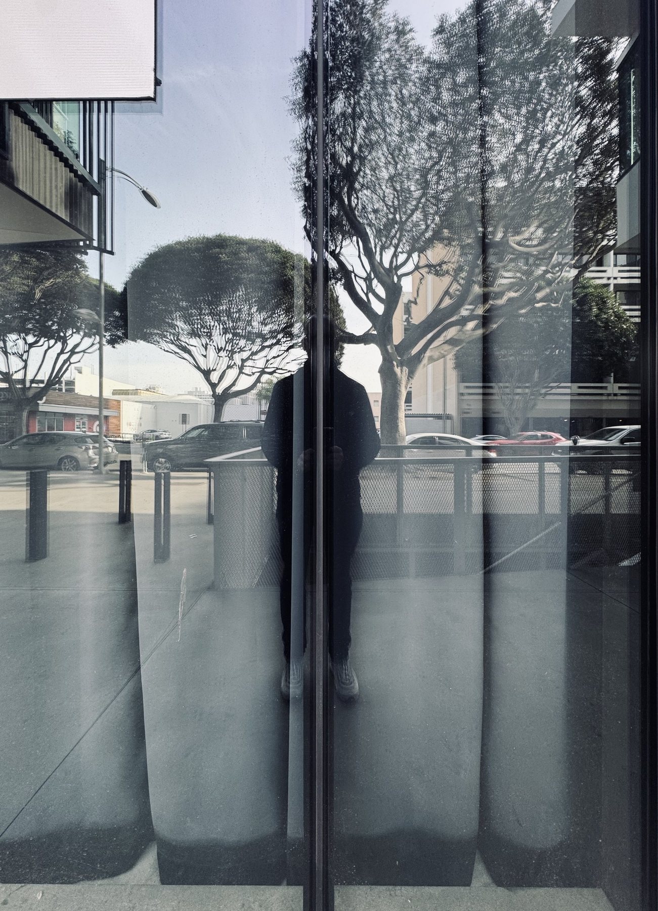 No End In Sight 091: The artist reflected in a dark glass facade, with a tall tree, parked cars and street lamps, and a vertical mullion splitting the view.