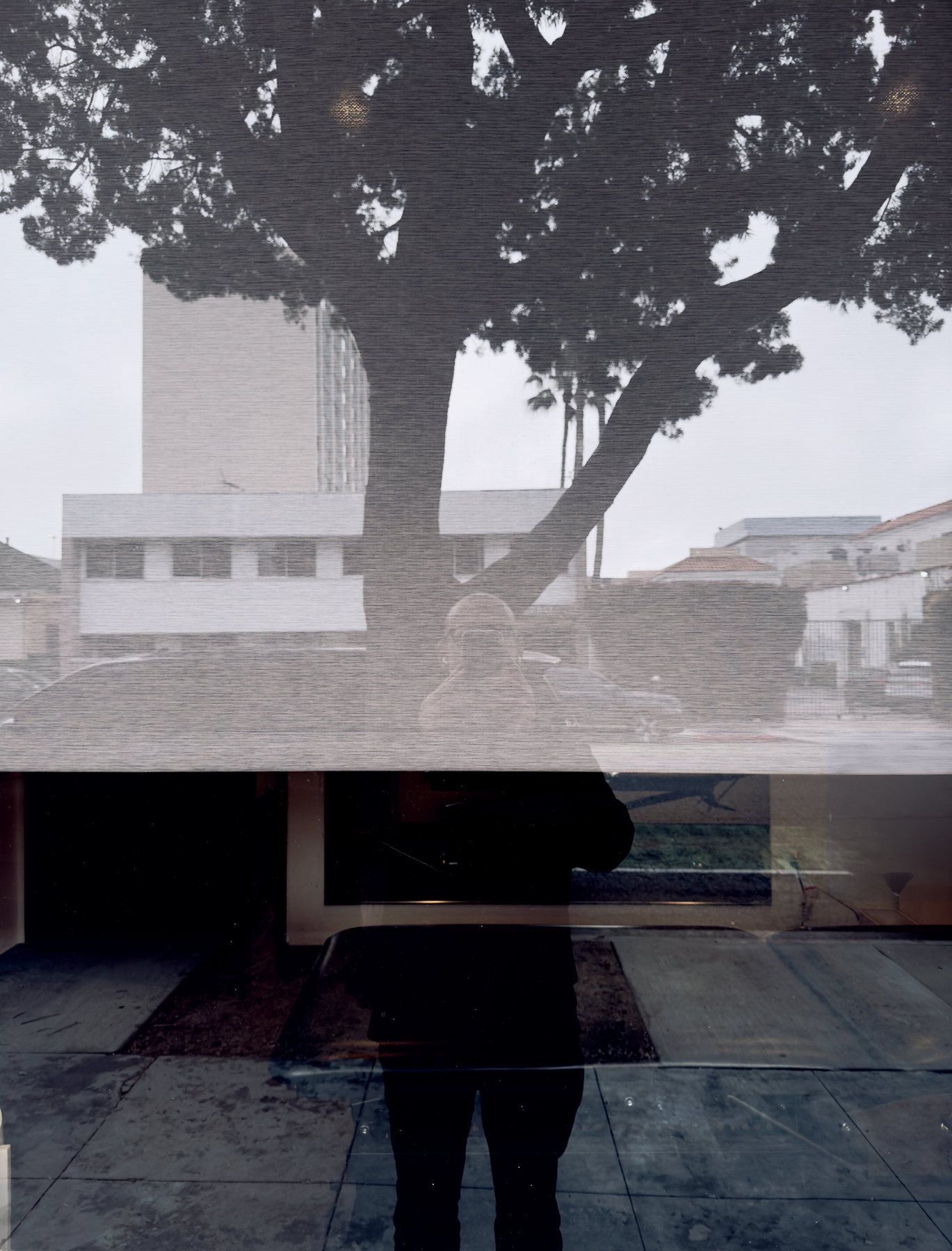 No End In Sight 117: The artist's reflection half-hidden behind a lowered blind in a window, with a large tree and white buildings under an overcast sky.